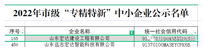 【榜上有名】开云链接官网_开云(中国)建设荣获“2022年市级专精特新”企业